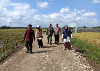 Kasubsektor Banda Baro Pantau Lahan Program Ketahanan Pangan