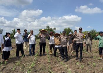 Kapolsek Dewantara Gerakkan Sektor Pertanian untuk Tingkatkan Ketahanan Pangan