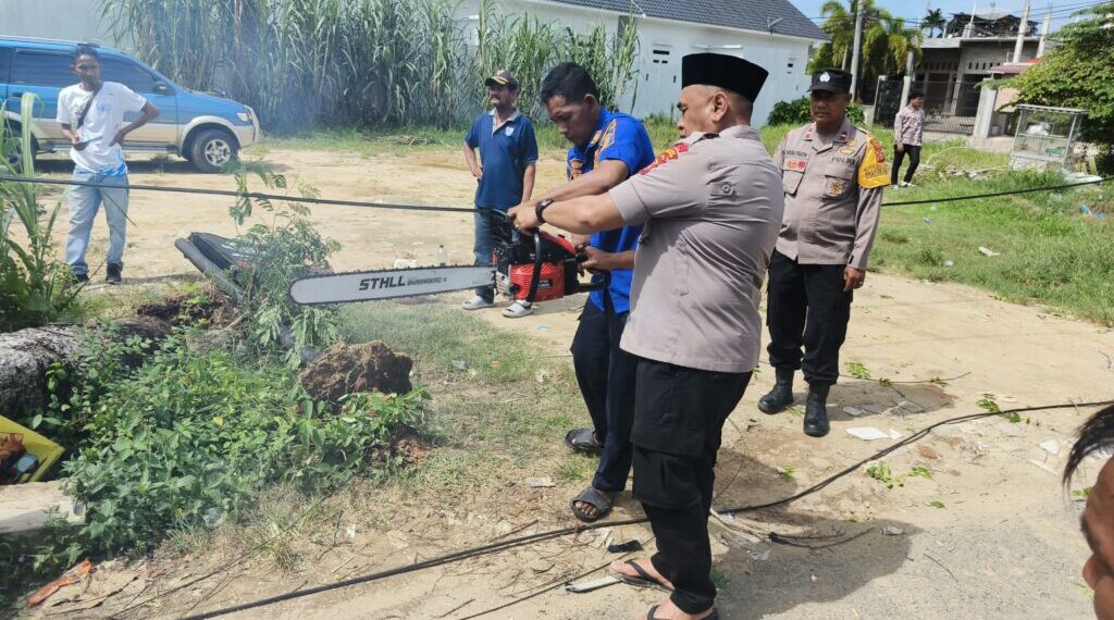 Pohon Tumbang di Jalan Rel Dusun H. Nafi, Lalu Lintas Sempat Tersendat