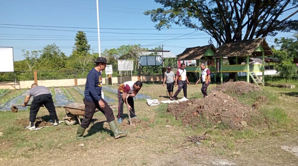 Personil Polsek Simpang Kramat Sulap Pekarangan Jadi Lahan Tani Produktif