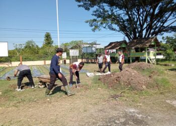 Personil Polsek Simpang Kramat Sulap Pekarangan Jadi Lahan Tani Produktif