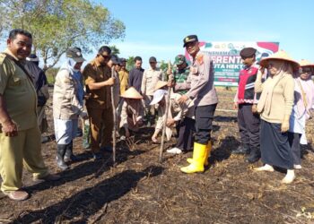 Polsek Lhoksukon Garap 2 Ha Lahan Tidur Tanam Jagung
