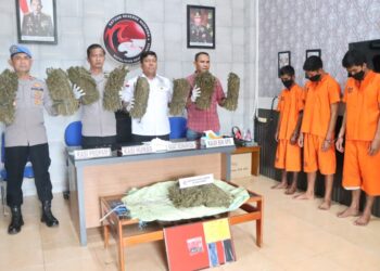 Polres Langsa Amankan 10 Kilogram Ganja, 3 Tersangka Berhasil Ditangkap