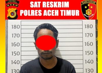 Polres Aceh Timur Amankan Pelaku Pencabulan