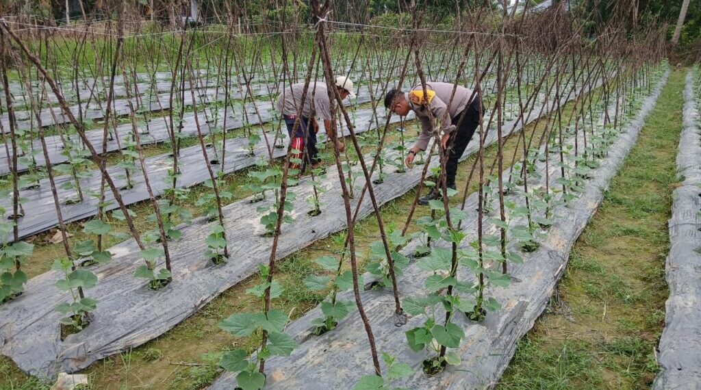 Mendukung Ketahanan Pangan, Bhabinkamtibmas Beri Motivasi Warga di Aceh Tamiang