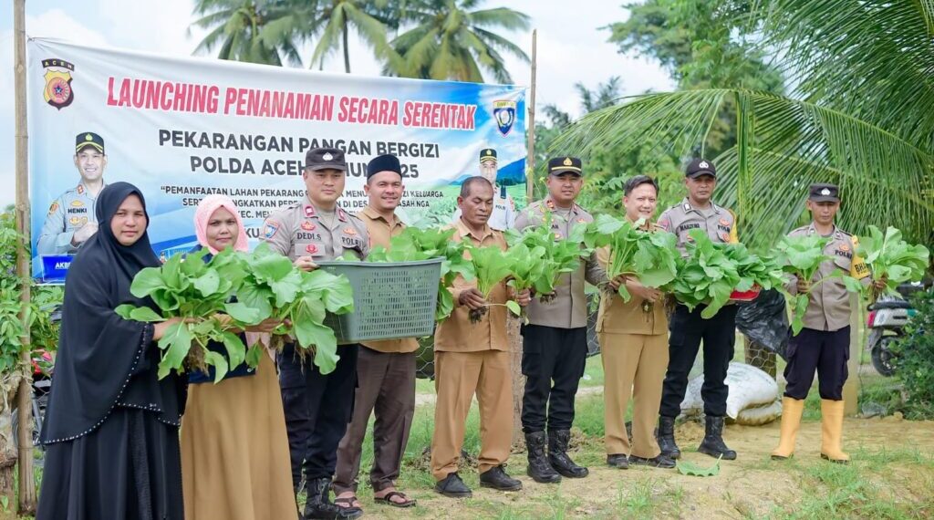 Kapolsek dan Muspika Panen Perdana Sawi di Pekarangan Pangan Bergizi Polsek Meurah Mulia
