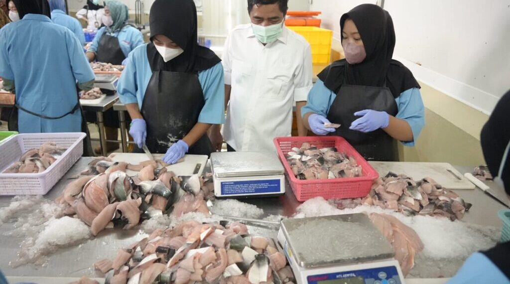 KKP Pastikan Ikan untuk MBG Terjamin Kualitasnya