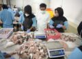 KKP Pastikan Ikan untuk MBG Terjamin Kualitasnya