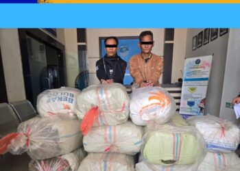 33 KG Sabu, 262.000 Butir Ekstasi dan Ratusan Kilogram Ganja, Bnn Provinsi Aceh Ungkap Jaringan Narkotika Internasional