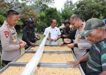 Dukung Perkembangan UMKM, Papua Tengah Kunjungi Perkebunan Kopi Mulia